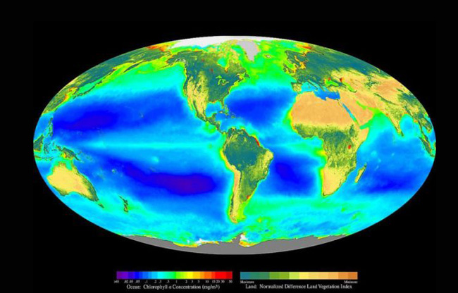 "NDVI (on land) and chlorophyll concentration (in the oceans);